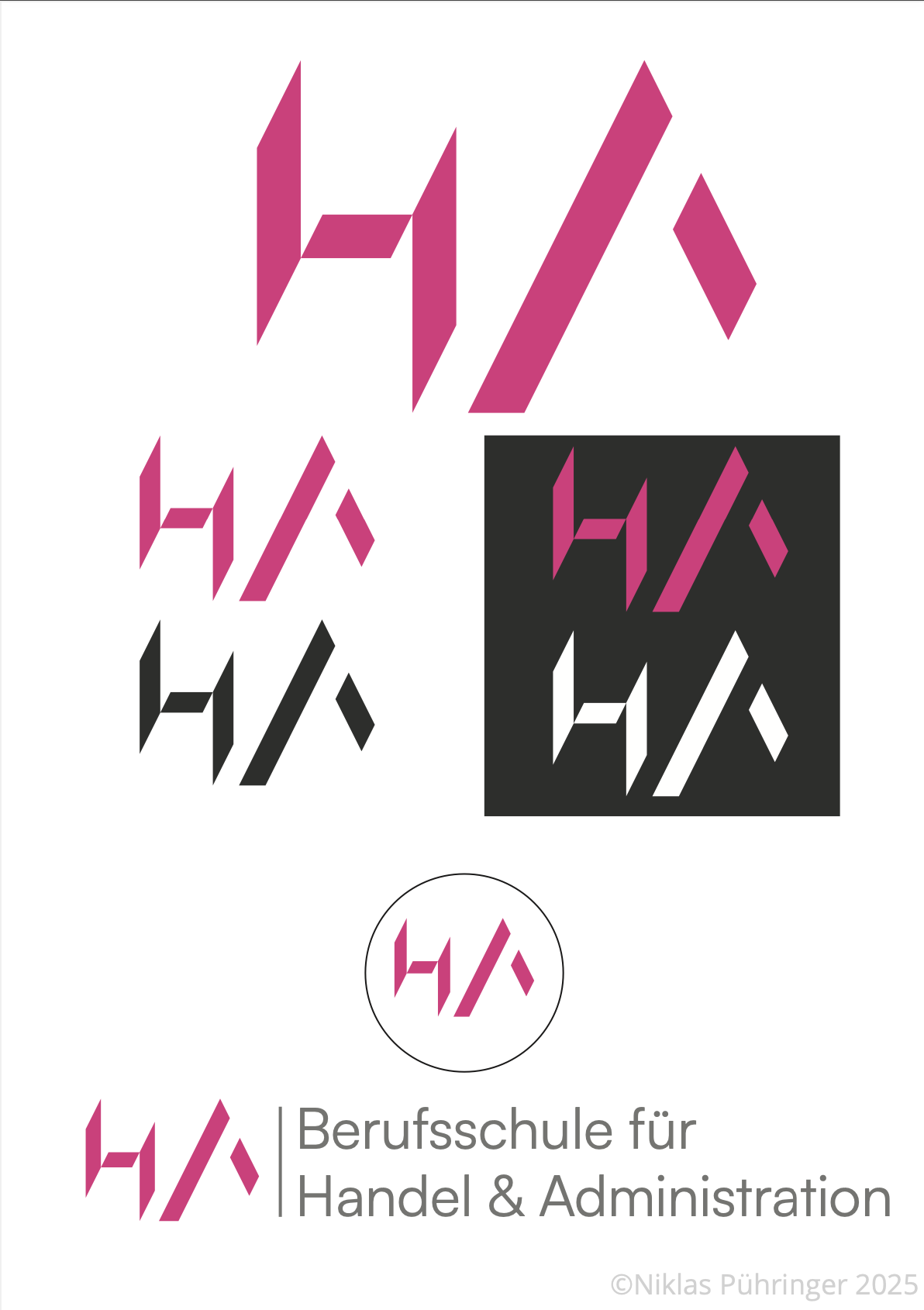 BSHA logo project